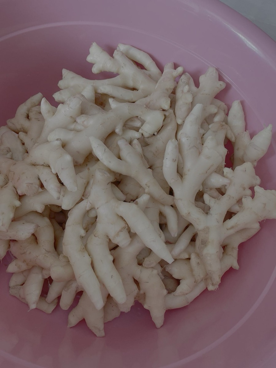洗净后的指姜特写，皮薄、芽尖淡粉